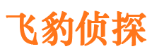 大关市侦探公司